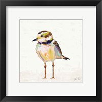 Framed 'Coastal Plover II Linen' border=