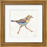 Framed 'Coastal Plover I Linen' border=