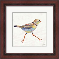 Framed 'Coastal Plover I Linen' border=