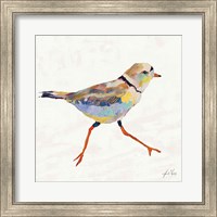 Framed 'Coastal Plover I Linen' border=