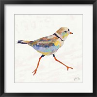 Framed 'Coastal Plover I Linen' border=