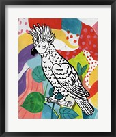 Jungle Cockatoo Framed Print