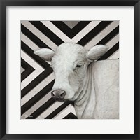 Framed January Cow II