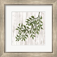 Framed 'Leaves on White' border=