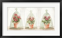 Framed Garden Cloche Trio II