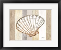 Coastal Shell II Framed Print