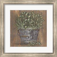 Framed 'Herb Trio in Pail' border=