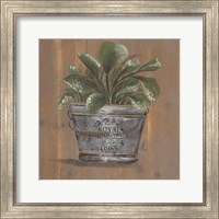 Framed 'Pretty Plant in Pail' border=