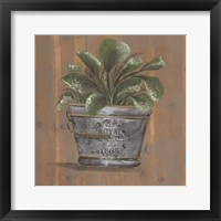 Framed 'Pretty Plant in Pail' border=