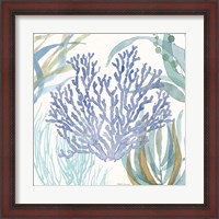 Framed 'Soft Shores VIII' border=