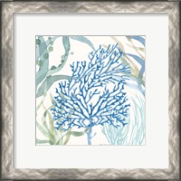 Framed 'Soft Shores VI' border=