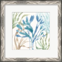 Framed 'Soft Shores IX' border=