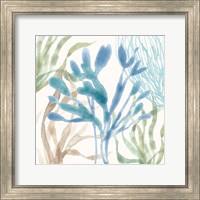 Framed 'Soft Shores IX' border=