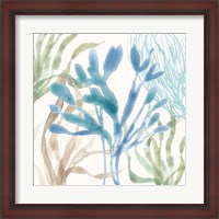 Framed 'Soft Shores IX' border=