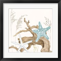 Framed 'Soft Shores III' border=