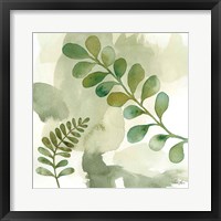 Woodland Walk III Framed Print