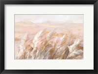 Framed Prairie Grasses