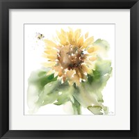 Sunflower Meadow III Framed Print