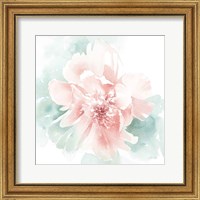 Framed 'Poetic Blooming II Pink' border=