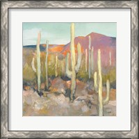 Framed 'High Desert I' border=