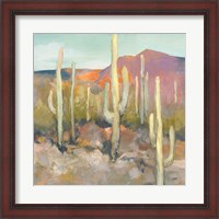 Framed 'High Desert I' border=