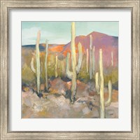 Framed 'High Desert I' border=