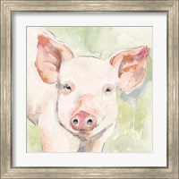 Framed 'Sunny the Pig I' border=