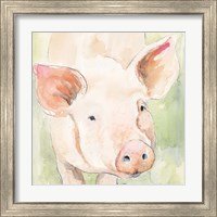 Framed 'Sunny the Pig II' border=