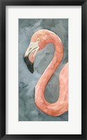 Flamingo Study II Framed Print