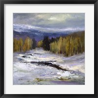 Winter III Framed Print