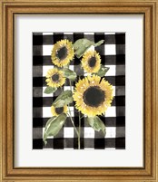 Framed 'Buffalo Check Sunflower I' border=