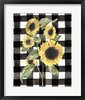 Framed 'Buffalo Check Sunflower I' border=