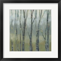 Framed 'Transitional Treeline II' border=