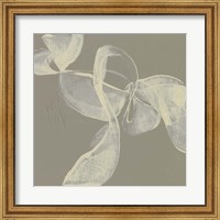 Framed 'White Ribbon on Beige I' border=