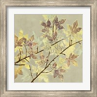 Framed 'Renewed Maple I' border=