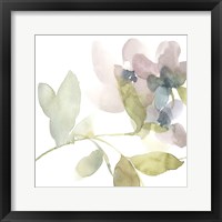 Sweet Petals and Leaves II Framed Print