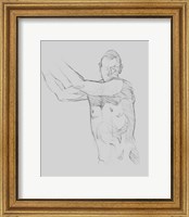 Framed 'Male Torso Sketch III' border=