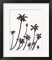 Young Coneflowers I Framed Print