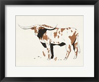 Terre Cotta Steer II Framed Print