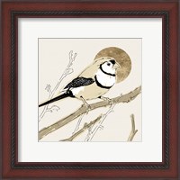 Framed 'Spring Passerine I' border=