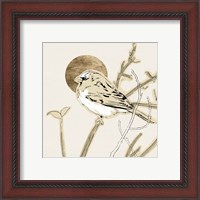 Framed 'Spring Passerine II' border=