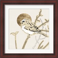 Framed 'Spring Passerine II' border=