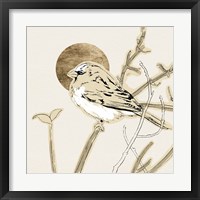 Framed 'Spring Passerine II' border=