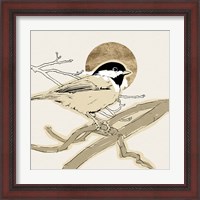 Framed 'Spring Passerine III' border=