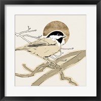 Spring Passerine III Framed Print