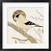 Spring Passerine IV Framed Print