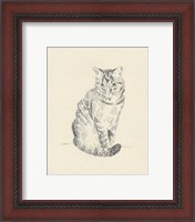 Framed 'House Cat I' border=