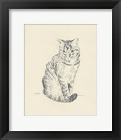 Framed 'House Cat I' border=