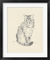 Framed 'House Cat I' border=