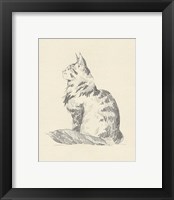 Framed 'House Cat II' border=